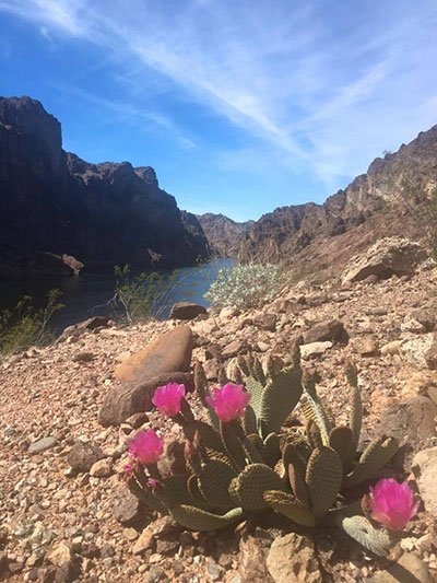Black Canyon in the Spring