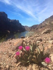 black canyon kayak trip