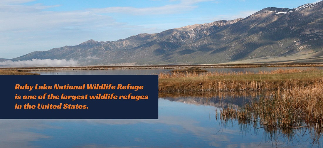 Ruby Lake National Wildlife Refuge