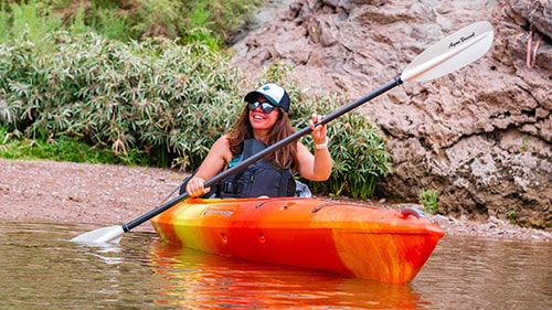 Las Vegas Willow Round Trip