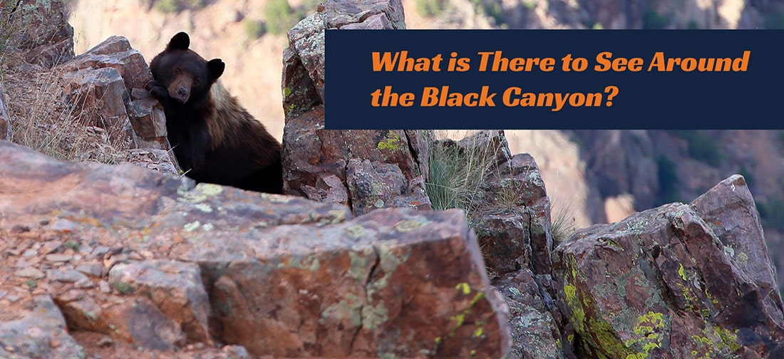 What Is There To See Around The Black Canyon
