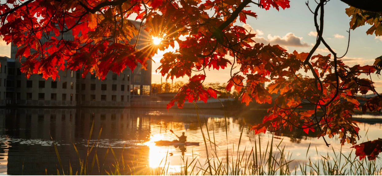 Parks in Las Vegas That Allow Kayaks